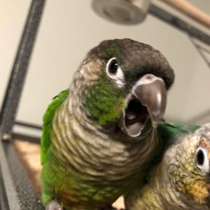 Meet your Posher, Alexis